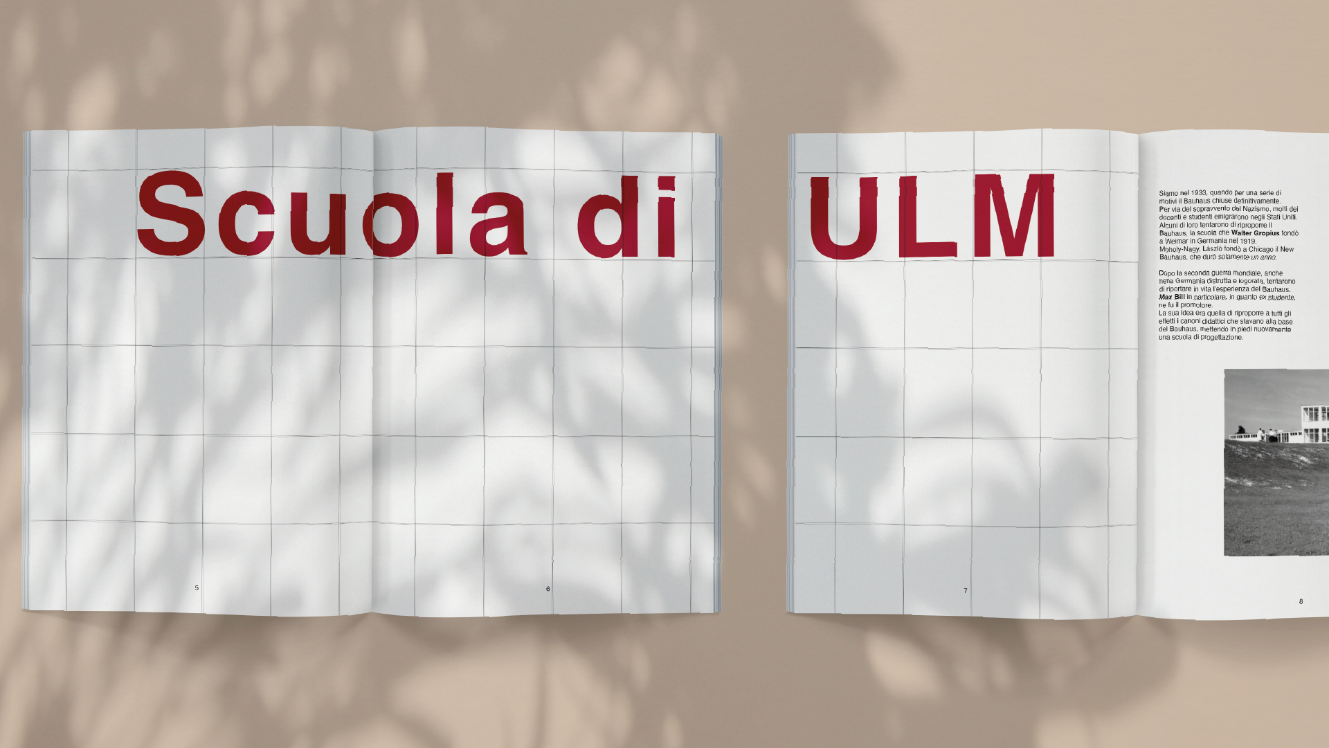 Project detail